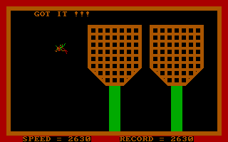 Gameplay of Fly