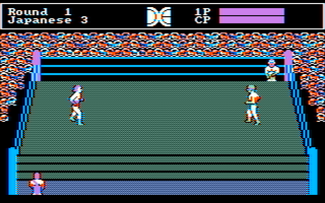 Gameplay of Tag Team Wrestling