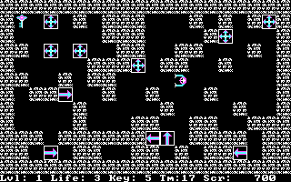 Gameplay of Wizard's Doom