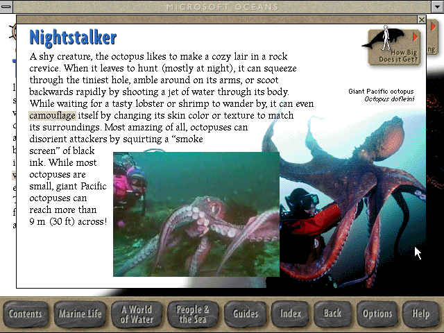 Gameplay of Microsoft Oceans