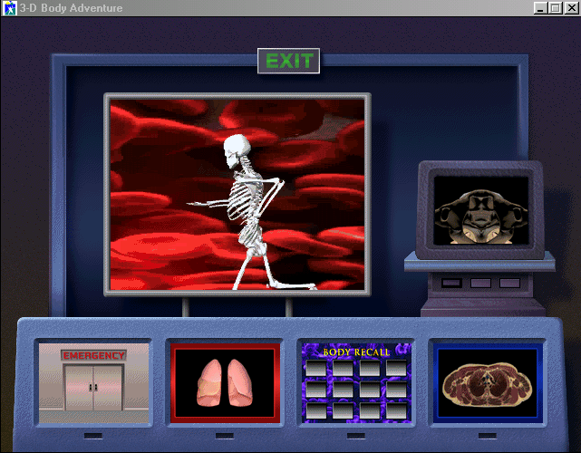 Gameplay of 3-D Body Adventure