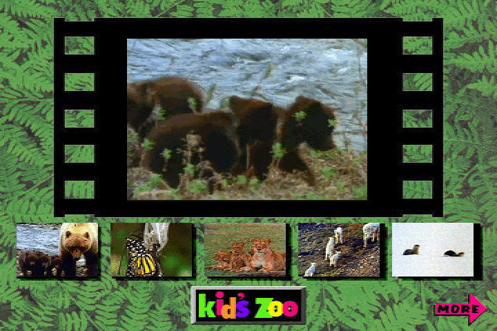 Gameplay of Kid's Zoo: A Baby Animal Adventure