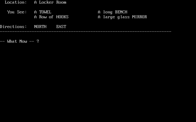 Gameplay of Gymnasium Adventure