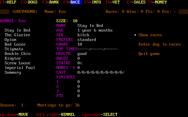 Gameplay of Greyhound