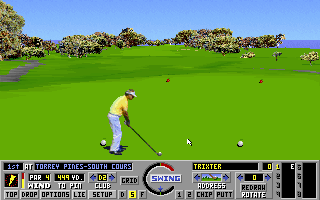 Gameplay of Links: The Challenge of Golf