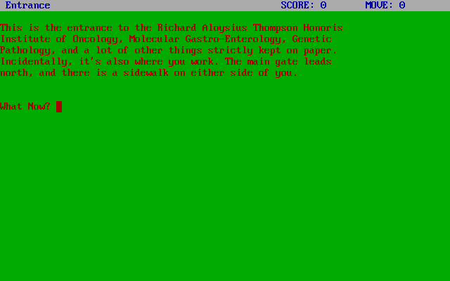 Gameplay of A Bloody Life!