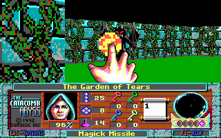 Gameplay of The Catacomb Abyss