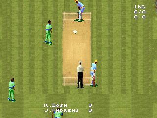 Gameplay of Cricket 96