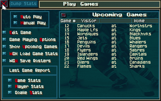 Gameplay of Hockey League Simulator II