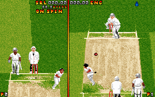 Gameplay of Ian Botham's Cricket