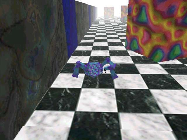 Gameplay of Galapagos