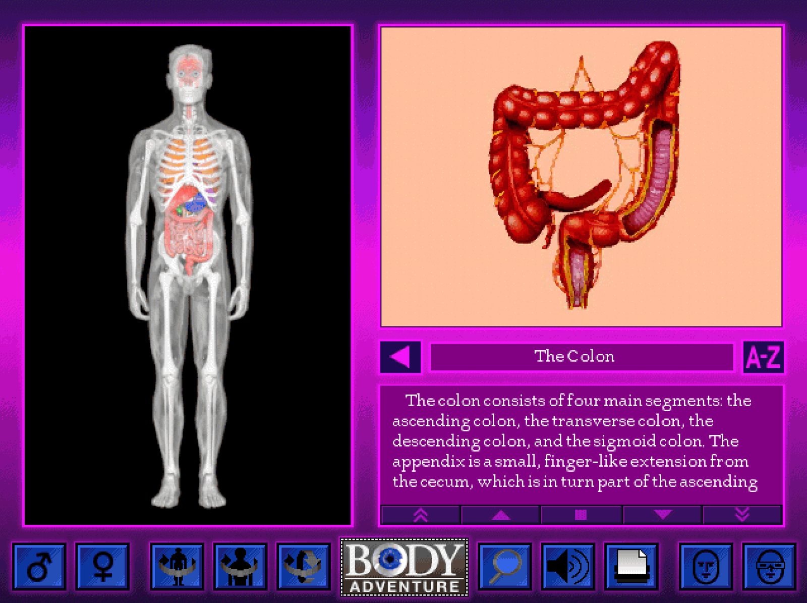 Gameplay of 3-D Body Adventure