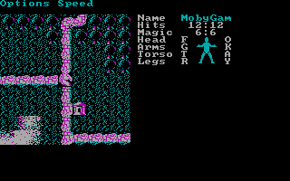 Gameplay of Phantasie III: The Wrath of Nikademus