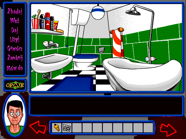 Gameplay of Świrus