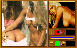 Gameplay of Penthouse: Hot Numbers