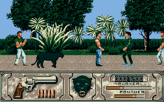 Gameplay of Wild Streets