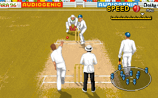 Gameplay of Shane Warne Cricket