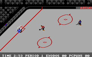 Gameplay of International Hockey