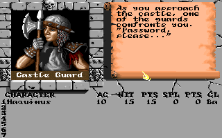 Gameplay of The Bard's Lore: The Warrior & The Dragon