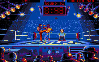 Gameplay of Panza Kick Boxing