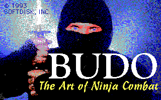 Title screen of Budō: The Art of Ninja Combat!