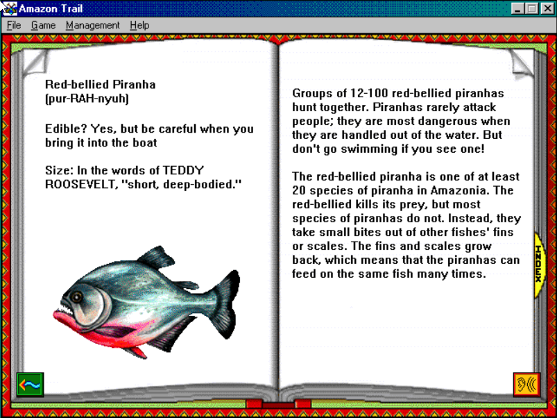 Gameplay of The Amazon Trail