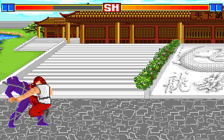 Gameplay of Fighter (1993)