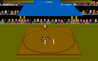 Gameplay of Sumo Wrestling