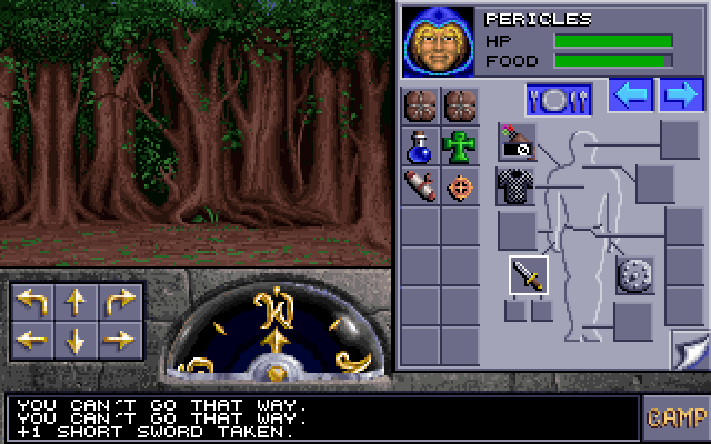 Gameplay of Eye of the Beholder II: The Legend of Darkmoon