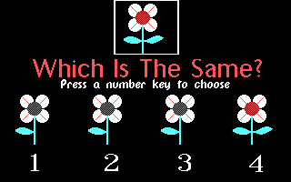 Gameplay of Same or Different