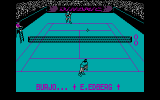 Gameplay of Professional Tennis Simulator