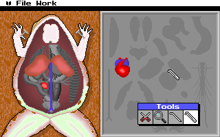 Gameplay of Operation: Frog