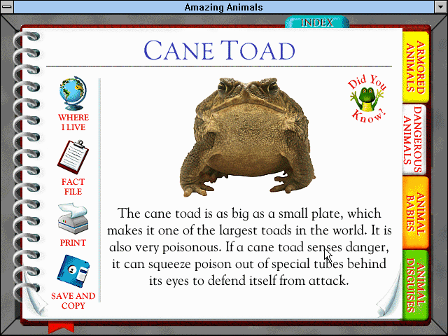 Gameplay of Amazing Animals Activity Pack