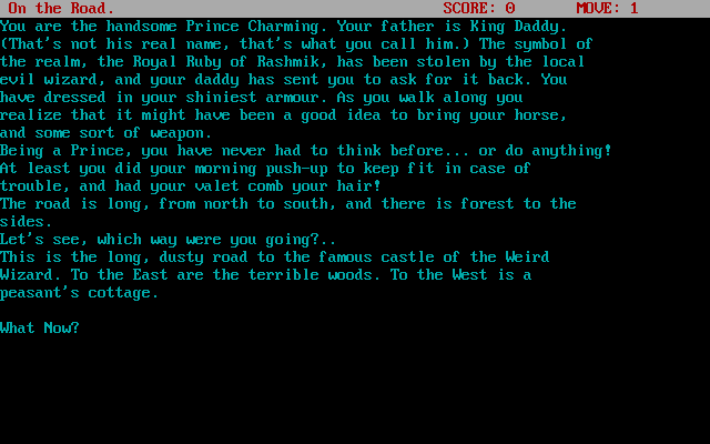 Gameplay of The Wizard's Castle (1994)
