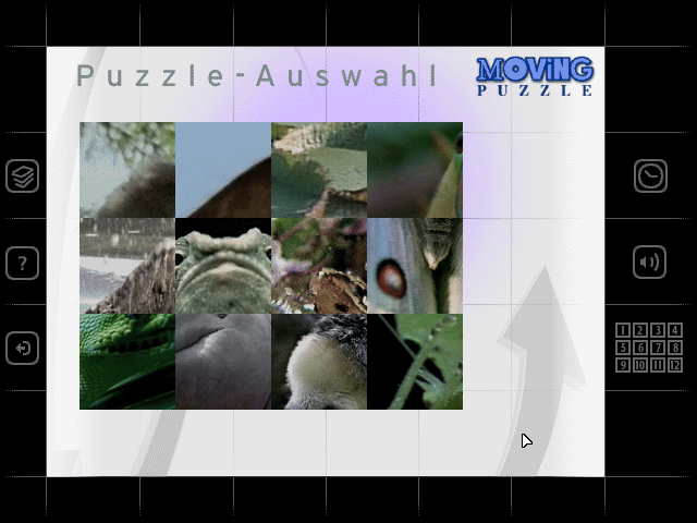Gameplay of Moving Puzzle: Jungle World