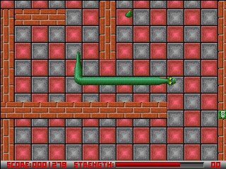 Gameplay of Snaker