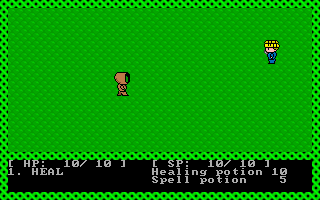 Gameplay of Final Destiny