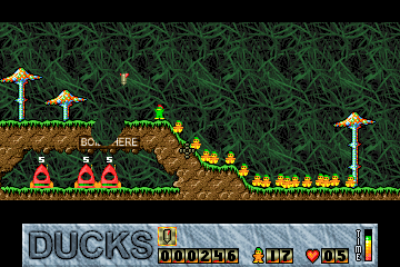 Gameplay of Ducks