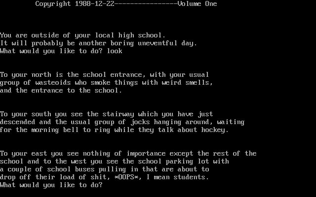 Gameplay of The Adventure