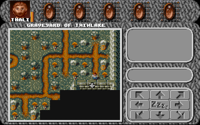 Gameplay of Amberstar