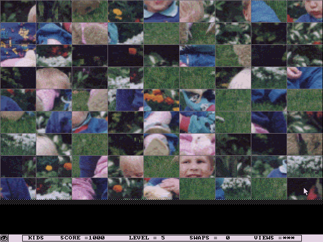 Gameplay of VGA Jigsaw