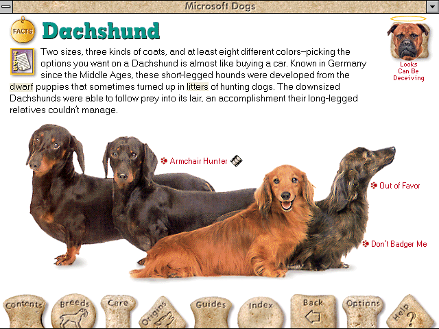 Gameplay of Microsoft Dogs