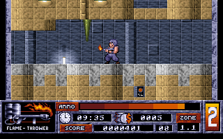 Gameplay of Alien Carnage
