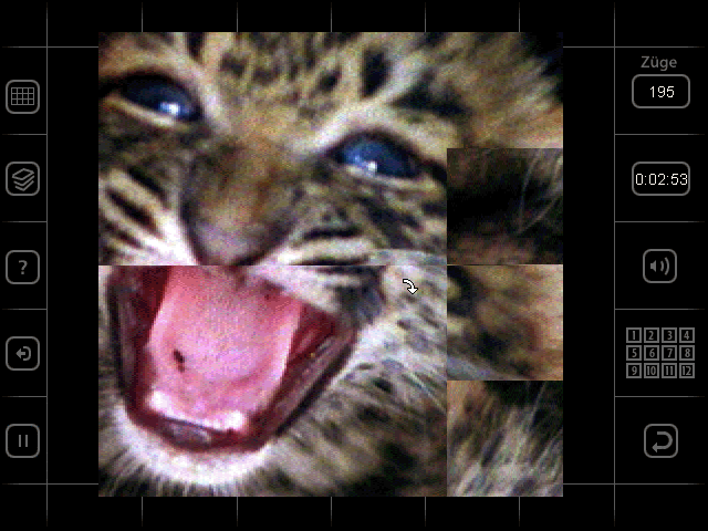 Gameplay of Moving Puzzle: Cats