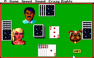 Gameplay of Hoyle Official Book of Games: Volume 1
