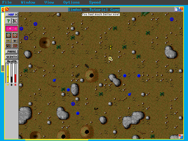 Gameplay of SimAnt
