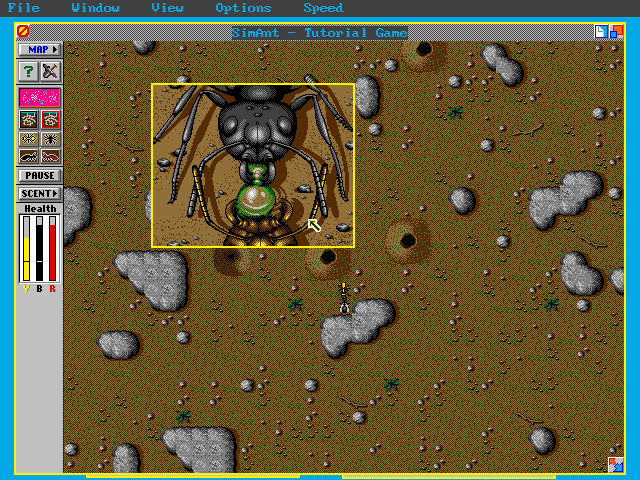 Gameplay of SimAnt