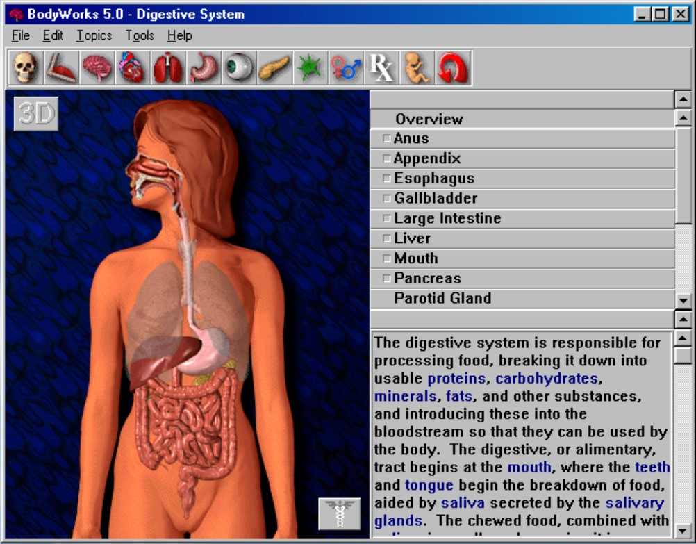 Gameplay of BodyWorks 5.0