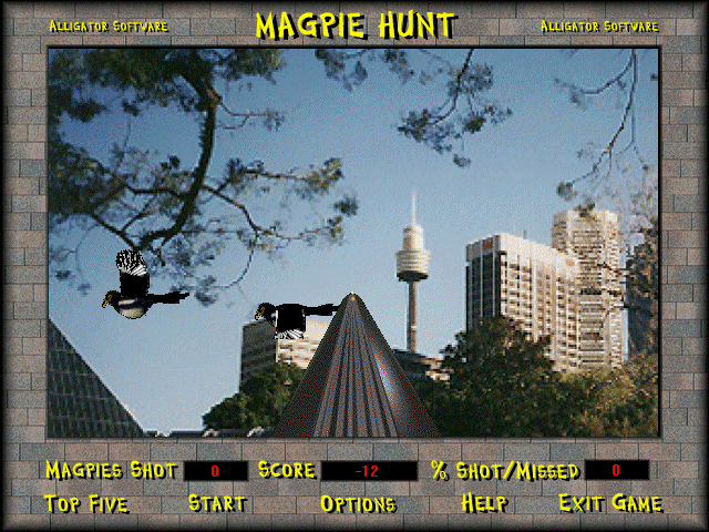 Gameplay of Magpie Hunt
