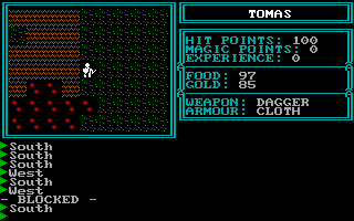 Gameplay of The Kingdom of Syree